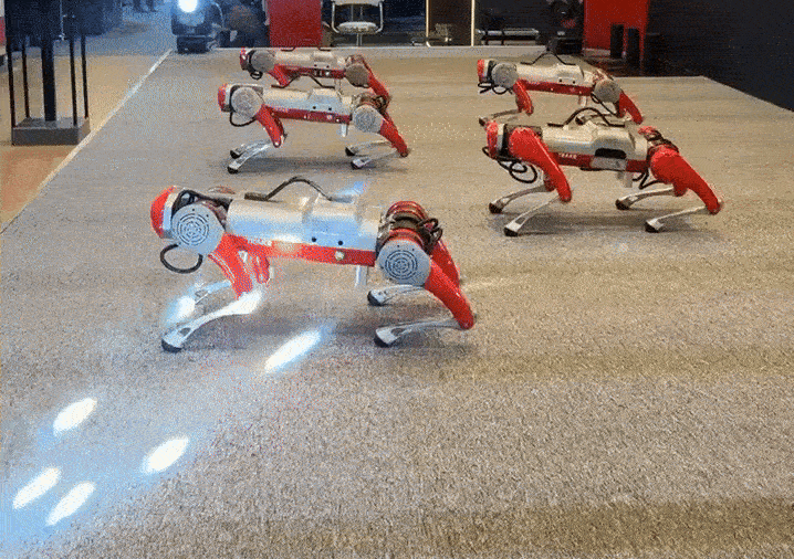 Quadruped Robot